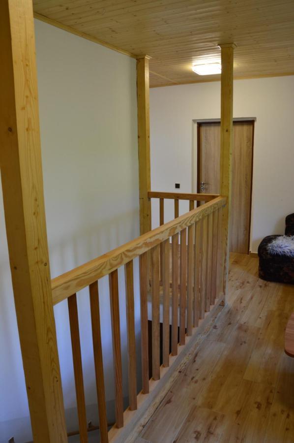 Horsky Apartman Pod Zelenou Strechou Bartosovice v Orlickych Horach Eksteriør bilde