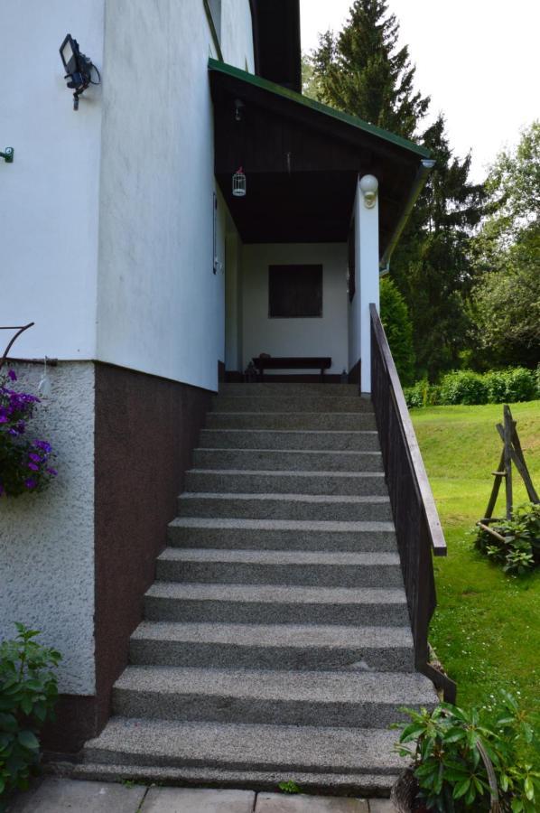 Horsky Apartman Pod Zelenou Strechou Bartosovice v Orlickych Horach Eksteriør bilde