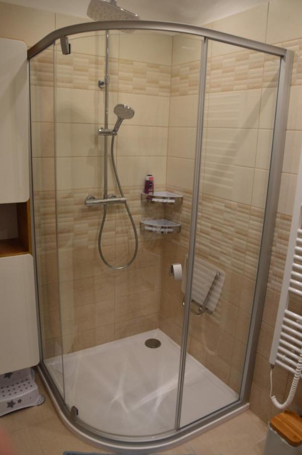 Horsky Apartman Pod Zelenou Strechou Bartosovice v Orlickych Horach Eksteriør bilde